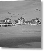 Beach Birds Metal Print