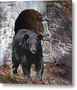 Bear Den Metal Print