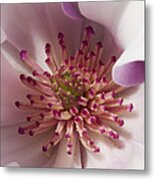 Beauty Within Metal Print