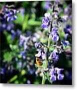 Bee In The Lilacs Metal Print
