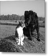 Best Buddies Black And White Metal Print