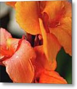 Big Orange Flower Metal Print