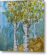 Birch Trees Metal Print