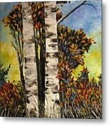 Birches For My Friend Metal Print