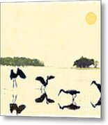 Birds Feeding In The Everglades Metal Print