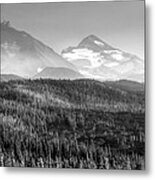 Black And White Sisters Metal Print