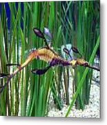 Black Dragon Seahorse Metal Print