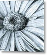 Black White Gerber Metal Print