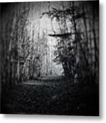 #blairwitch #forrest Metal Print