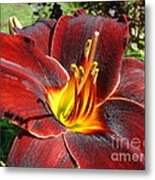 Bleeding Beauty Metal Print