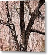 Blossom Rain Metal Print