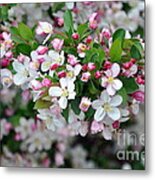 Blossoms On Blossoms Metal Print