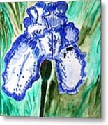 Blue Iris Metal Print