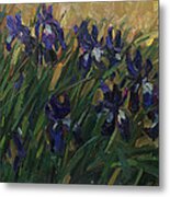 Blue Irises Metal Print