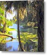 Blue Springs Metal Print