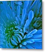 Blue Velvet Metal Print