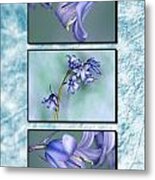 Bluebell Triptych Metal Print
