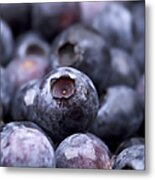 Blueberries Metal Print