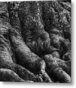 Body Of Tree Roots Metal Print