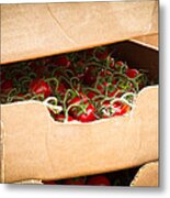 Box Of Vine Ripe Tomatoes Metal Print