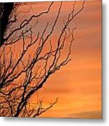 Branches Meandering Through The Sunset Metal Print