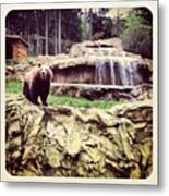 Bärig... #bär #bear #waterfall #epic Metal Print