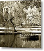 Bryant Pond 1 Metal Print