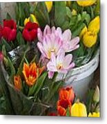 Buckets Of Colorful Tulips Metal Print