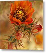 Buckhorn Cholla 2 Metal Print