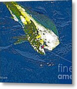 Bull Dolphin Metal Print