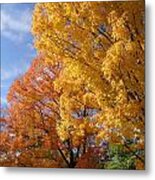 Burst Of Fall Colors In New England Metal Print