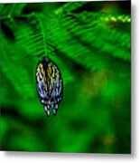 Butterfly Metal Print