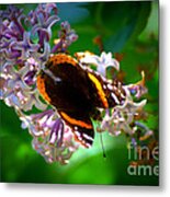 Butterfly On Lilac Metal Print