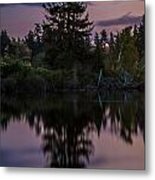 By The Light Of The Super Moon On Lake Ballinger. Metal Print