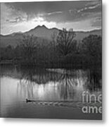 Calm Of The Night Metal Print