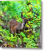 Can I Help You My Deer Metal Print