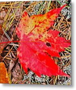 Can You Be-leaf It Metal Print