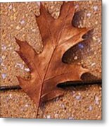 Can You See Me Now Metal Print