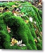 Canterbury Hills Moss In Autumn Metal Print