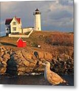 Cape Neddick Nubble Lighthouse And Seagull Metal Print