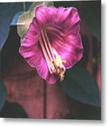 Cathedral Bell Flower Metal Print