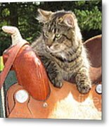 Cats Ride Free Metal Print