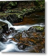 Cedar Creek Metal Print