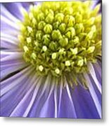 Center Metal Print