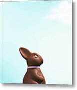 Chocolate Easter Bunny Amongst Flowers In Grass, Side View Metal Print