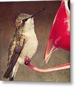 Chubby Hummer Metal Print