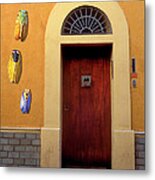 Cicada Door Arles France Metal Print