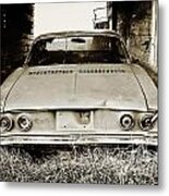 Classic In The Grass Metal Print