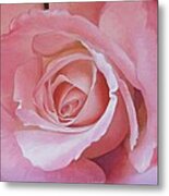 Close Up Painting Of Pink Rose Metal Print