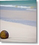 Coconuts On The Beach Metal Print